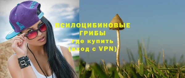 скорость Абаза