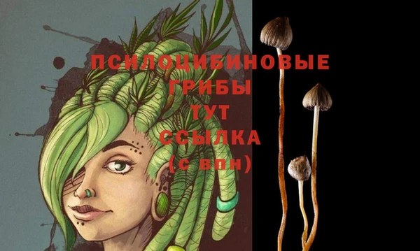 скорость Абаза