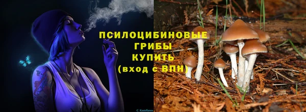 скорость Абаза