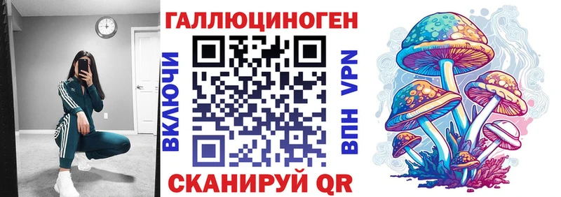 Псилоцибиновые грибы GOLDEN TEACHER  наркошоп  Зея 